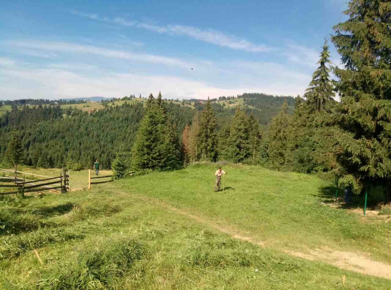 YAblunitsya