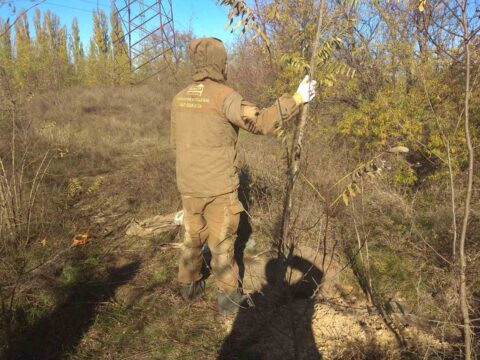 Геология для фундамента: цель и особенности исследований