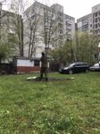 Polevye-raboty